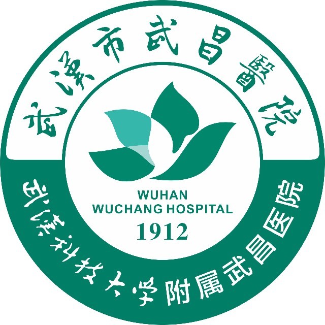 武汉市武昌医院 logo